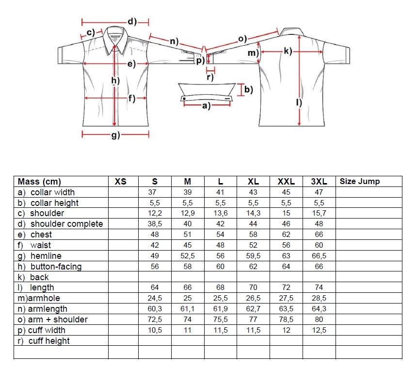 Lilith Ladies Western Blouse