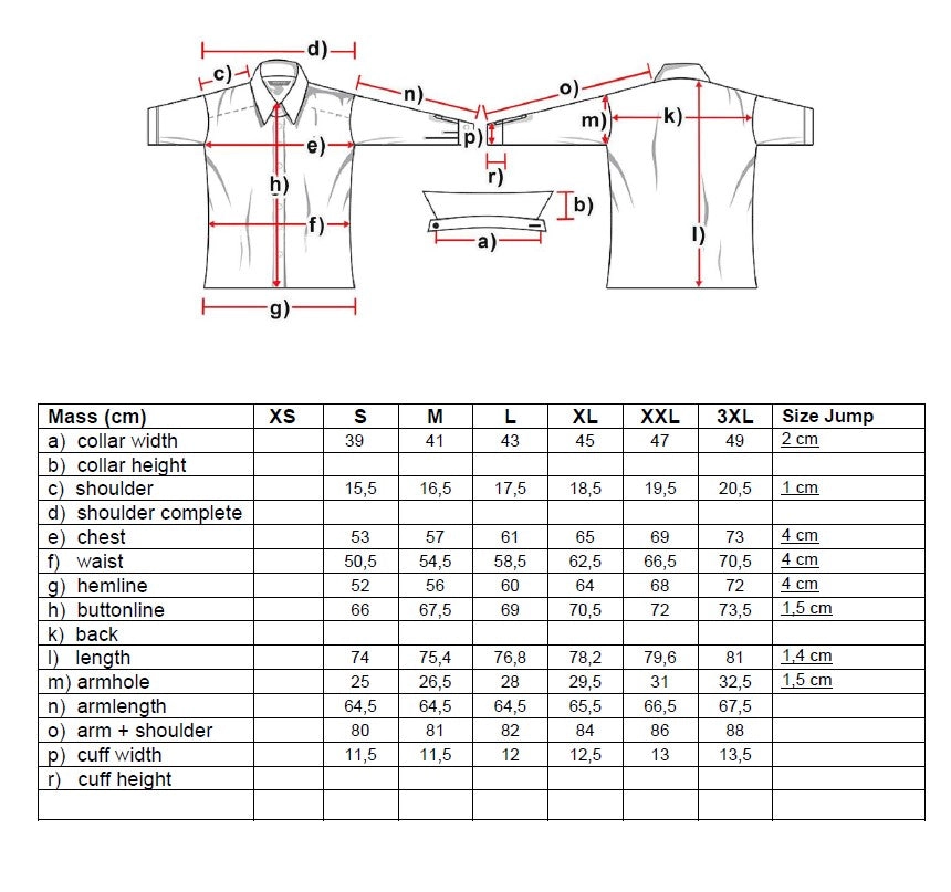 Mason Mens Western Shirt