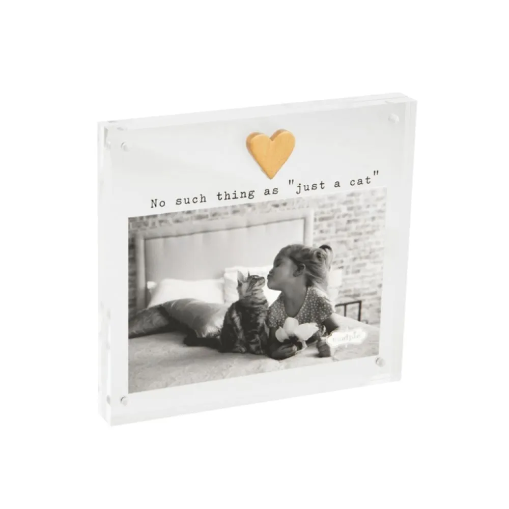 Mud Pie Acrylic Cat Frame - 4x6