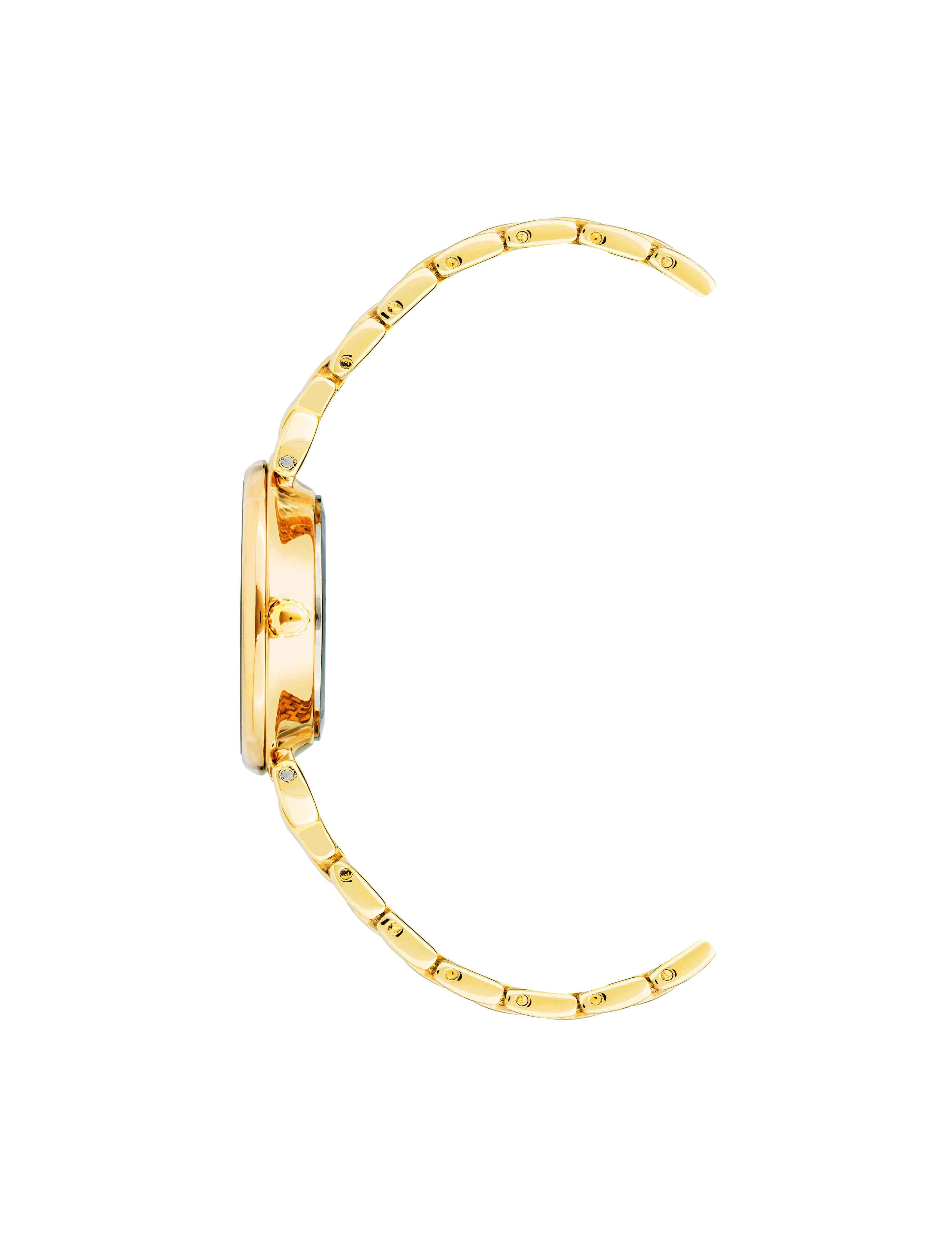 Roman Numeral Dial Watch