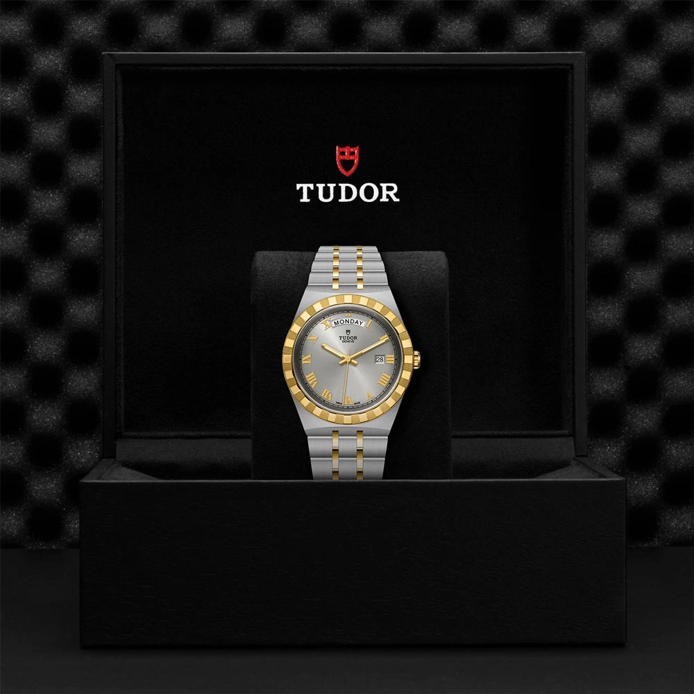 TUDOR Royal 41mm Silver Dial Steel & Gold Gents Watch M28603-0001